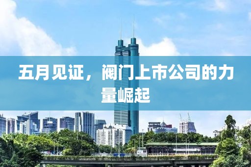 五月见证，阀门上市公司的力量崛起