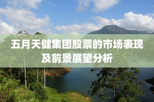 五月天健集团股票的市场表现及前景展望分析