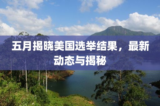 五月揭晓美国选举结果，最新动态与揭秘