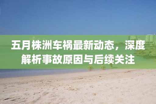 五月株洲车祸最新动态，深度解析事故原因与后续关注