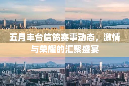 五月丰台信鸽赛事动态，激情与荣耀的汇聚盛宴