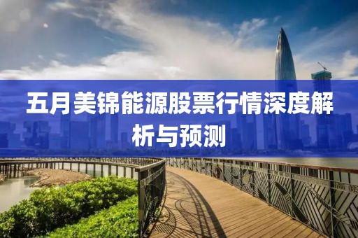 五月美锦能源股票行情深度解析与预测