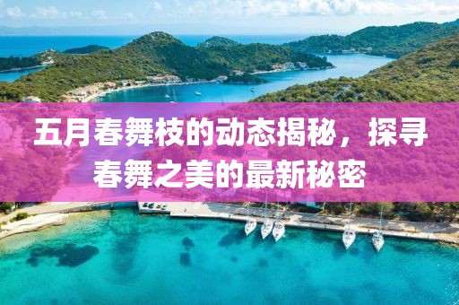 五月春舞枝的动态揭秘，探寻春舞之美的最新秘密