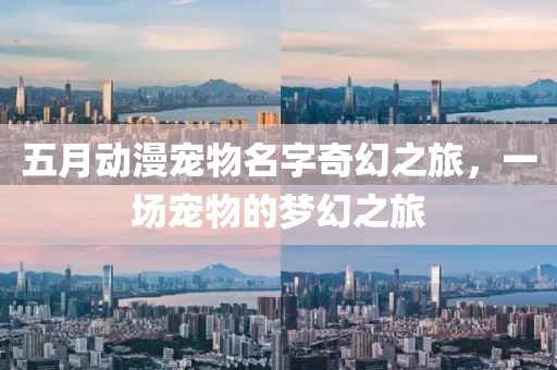 五月动漫宠物名字奇幻之旅，一场宠物的梦幻之旅