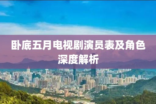 卧底五月电视剧演员表及角色深度解析