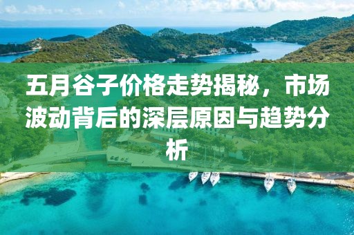 五月谷子价格走势揭秘，市场波动背后的深层原因与趋势分析
