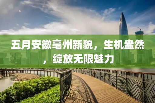 五月安徽亳州新貌，生机盎然，绽放无限魅力