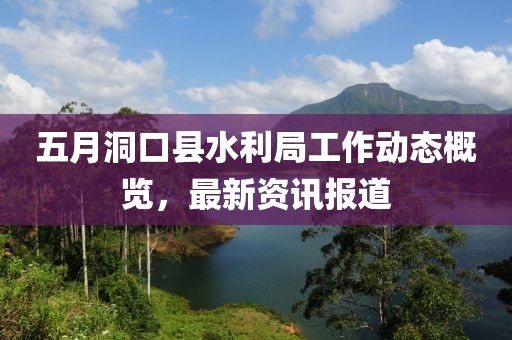 五月洞口县水利局工作动态概览，最新资讯报道