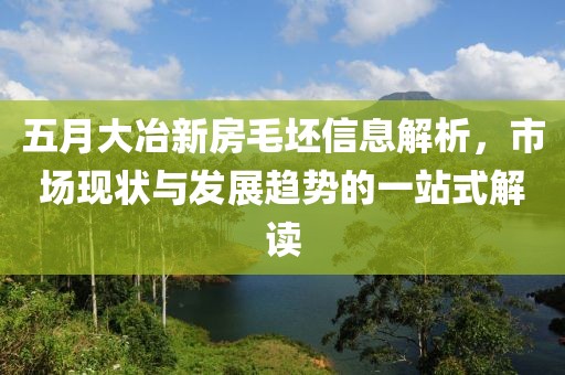 五月大冶新房毛坯信息解析，市场现状与发展趋势的一站式解读
