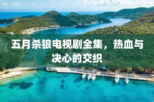 五月杀狼电视剧全集，热血与决心的交织