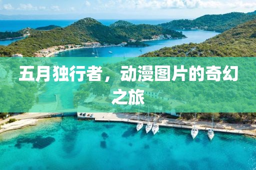 五月独行者，动漫图片的奇幻之旅