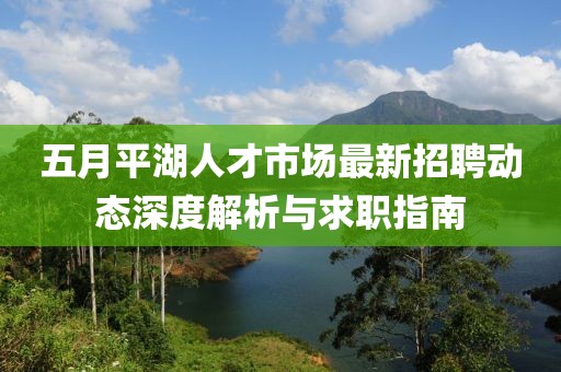 五月平湖人才市场最新招聘动态深度解析与求职指南