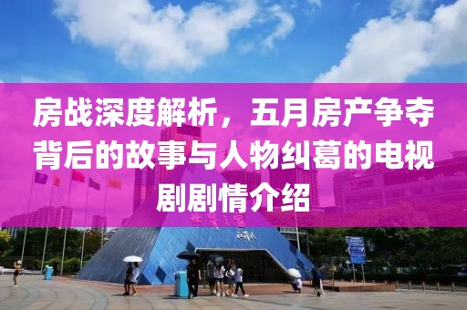 房战深度解析，五月房产争夺背后的故事与人物纠葛的电视剧剧情介绍
