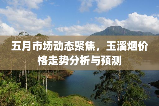 五月市场动态聚焦，玉溪烟价格走势分析与预测