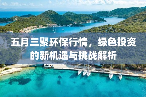 五月三聚环保行情，绿色投资的新机遇与挑战解析