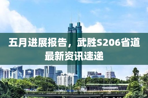 五月进展报告，武胜S206省道最新资讯速递