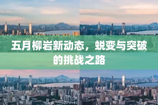 五月柳岩新动态，蜕变与突破的挑战之路