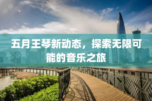 五月王琴新动态，探索无限可能的音乐之旅