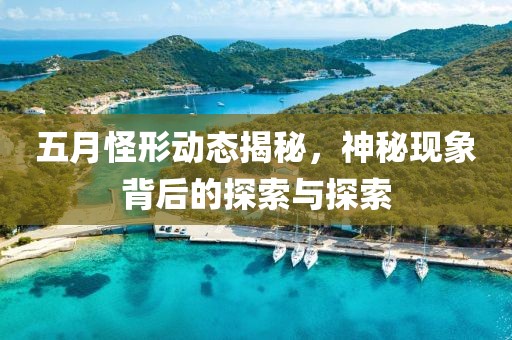 五月怪形动态揭秘，神秘现象背后的探索与探索