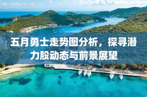 五月勇士走势图分析，探寻潜力股动态与前景展望