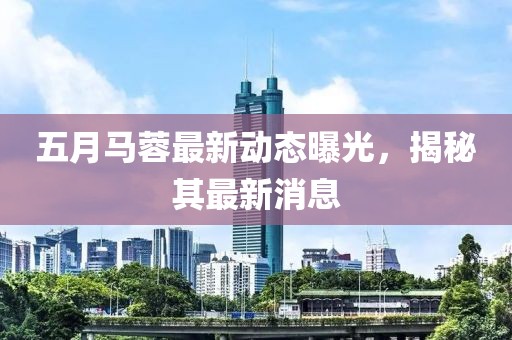 五月马蓉最新动态曝光，揭秘其最新消息