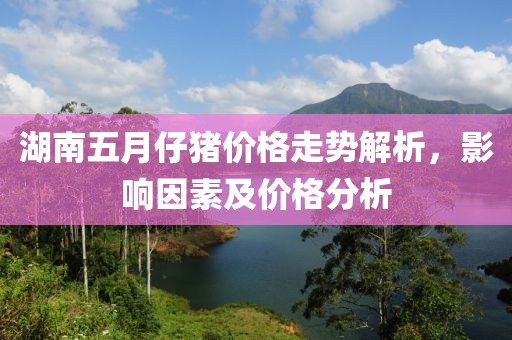 湖南五月仔猪价格走势解析，影响因素及价格分析