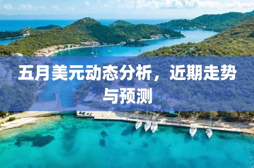 五月美元动态分析，近期走势与预测