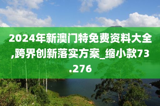 2024年新澳门特免费资料大全,跨界创新落实方案_缩小款73.276