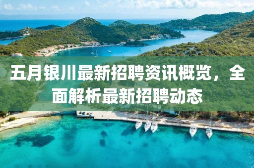 五月银川最新招聘资讯概览，全面解析最新招聘动态