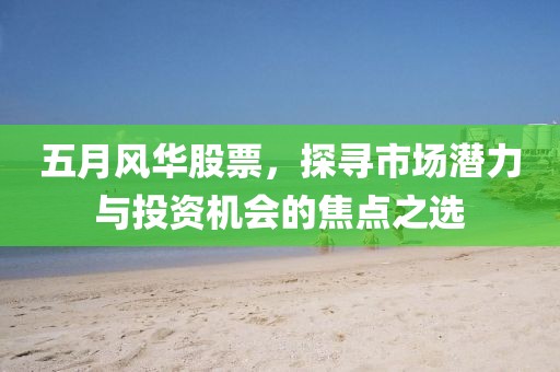 五月风华股票，探寻市场潜力与投资机会的焦点之选