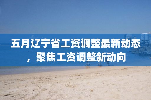五月辽宁省工资调整最新动态，聚焦工资调整新动向