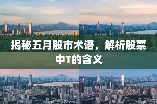 揭秘五月股市术语，解析股票中T的含义
