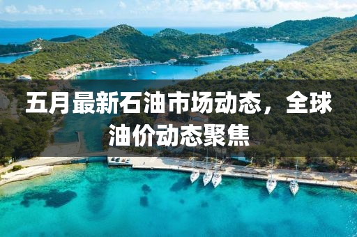 五月最新石油市场动态，全球油价动态聚焦