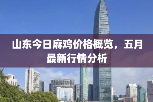 山东今日麻鸡价格概览，五月最新行情分析