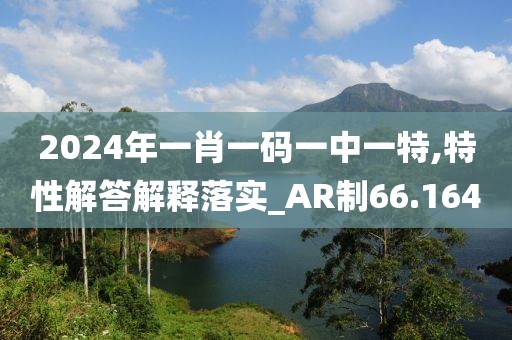 2024年一肖一码一中一特,特性解答解释落实_AR制66.164