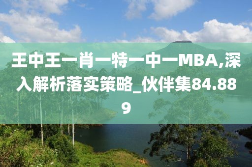 王中王一肖一特一中一MBA,深入解析落实策略_伙伴集84.889