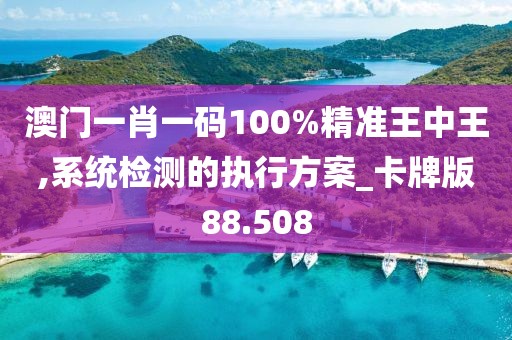澳门一肖一码100%精准王中王,系统检测的执行方案_卡牌版88.508