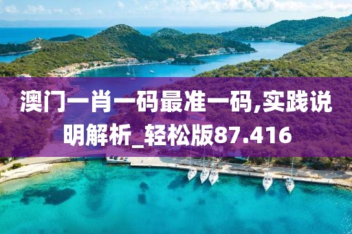 澳门一肖一码最准一码,实践说明解析_轻松版87.416
