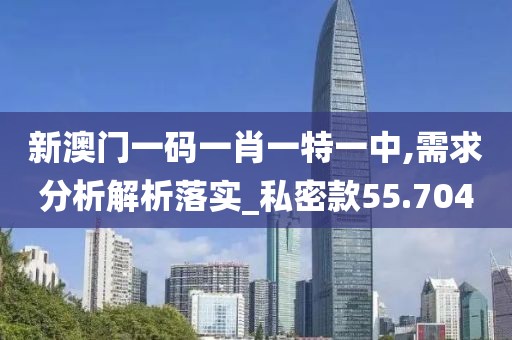 新澳门一码一肖一特一中,需求分析解析落实_私密款55.704
