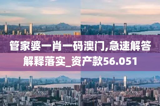 管家婆一肖一码澳门,急速解答解释落实_资产款56.051