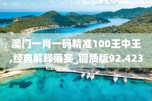 澳门一肖一码精准100王中王,经典解释落实_铜质版92.423