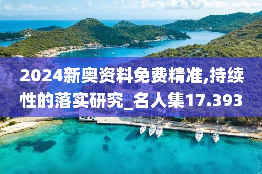 2024新奥资料免费精准,持续性的落实研究_名人集17.393