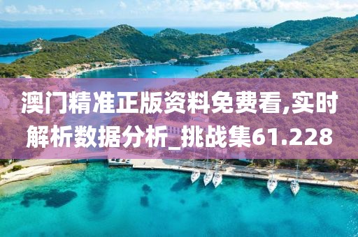 澳门精准正版资料免费看,实时解析数据分析_挑战集61.228