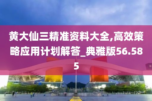 黄大仙三精准资料大全,高效策略应用计划解答_典雅版56.585