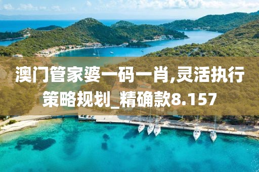 澳门管家婆一码一肖,灵活执行策略规划_精确款8.157