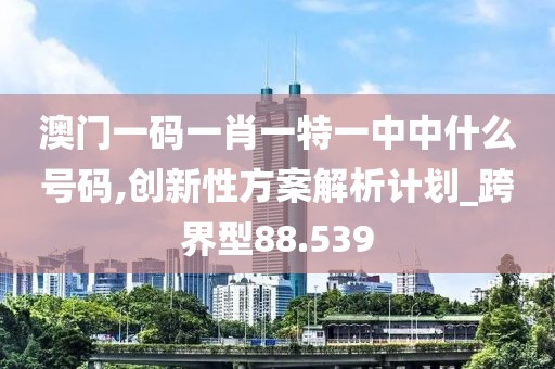 澳门一码一肖一特一中中什么号码,创新性方案解析计划_跨界型88.539