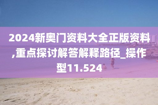 2024新奥门资料大全正版资料,重点探讨解答解释路径_操作型11.524
