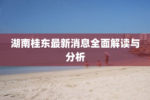 湖南桂东最新消息全面解读与分析