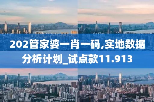 202管家婆一肖一码,实地数据分析计划_试点款11.913