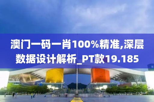 澳门一码一肖100%精准,深层数据设计解析_PT款19.185